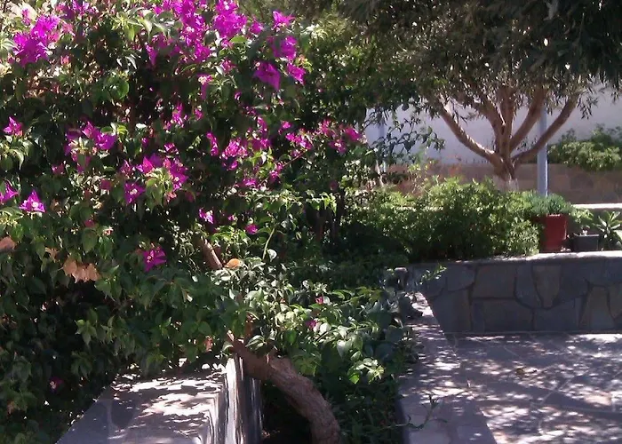 Athena Casa de hóspedes 3*